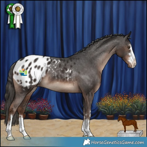 Horse Color:Liver Chestnut Blanket 