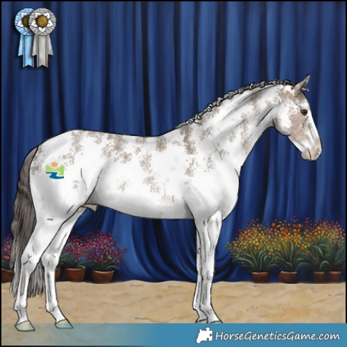 Horse Color:Liver Red Dun Sabino 