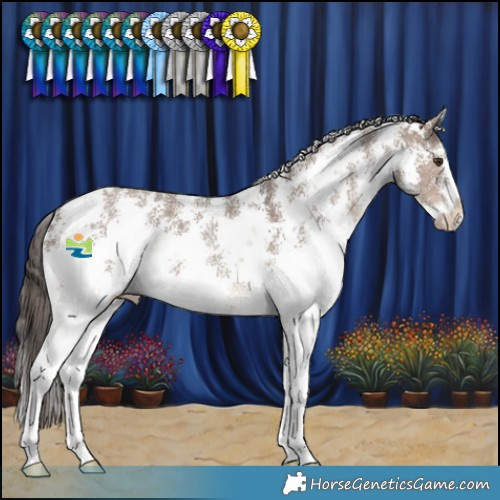 Horse Color:Liver Red Dun Sabino 