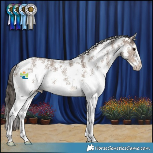 Horse Color:Liver Red Dun Sabino 