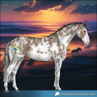 Horse Color:Liver Red Dun Sabino 