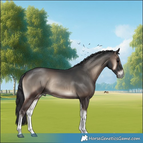 Horse Color:White Spotted Blue Onyx Rabicano 