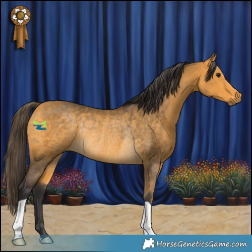 Horse Color:Buckskin Rabicano 