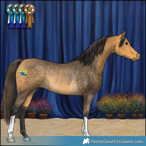 Horse Color:Buckskin Rabicano 