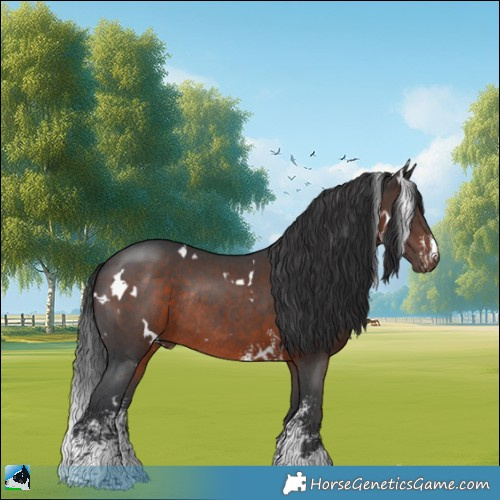 Horse Color:White Spotted Brown Mushroom Sabino Rabicano 