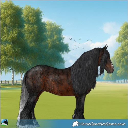 Horse Color:Brown Ice Rabicano 