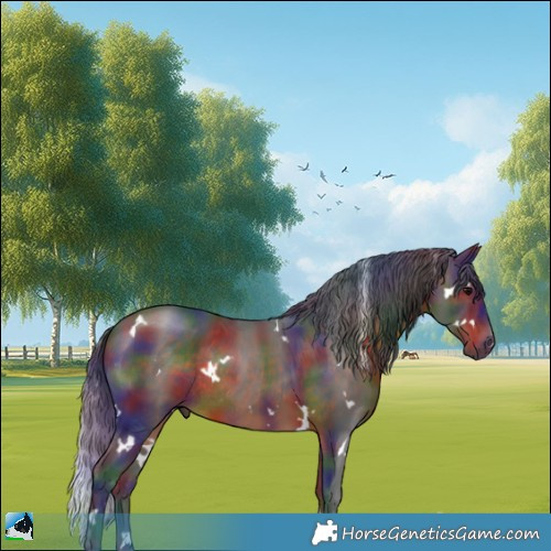 Horse Color:Nacre White Spotted Brown Rabicano 