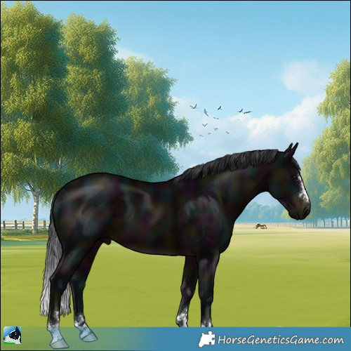 Horse Color:Midnight Brown 