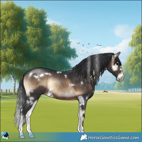 Horse Color:White Spotted Brown Onyx Rabicano 
