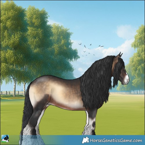 Horse Color:Brown Onyx Rabicano 