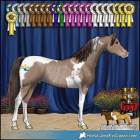 Horse Color:Classic Champagne Tobiano Rabicano 
