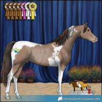 Horse Color:Classic Champagne Tobiano Rabicano