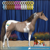 Horse Color:Classic Champagne Tobiano Rabicano 