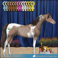 Horse Color:Classic Champagne Tobiano Rabicano