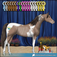 Horse Color:Classic Champagne Tobiano Rabicano 