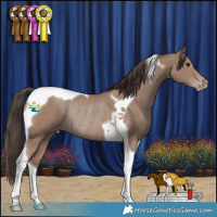 Horse Color:Classic Champagne Tobiano Rabicano