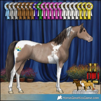 Horse Color:Classic Champagne Tobiano Rabicano 