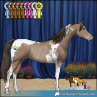 Horse Color:Classic Champagne Tobiano Rabicano