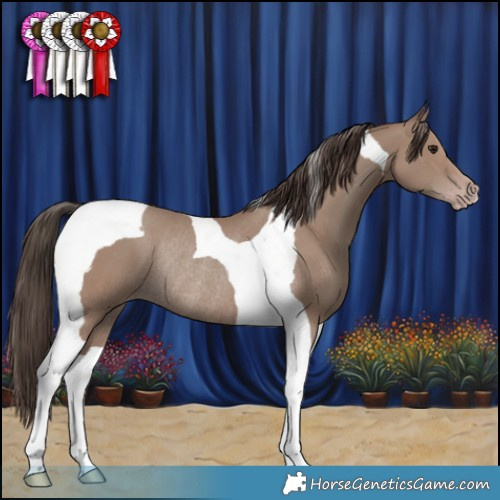 Horse Color:Classic Champagne Tobiano Rabicano