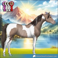 Horse Color:Classic Champagne Tobiano Rabicano 