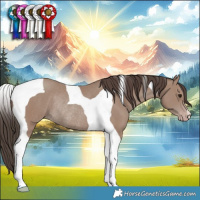 Horse Color:Classic Champagne Tobiano Rabicano