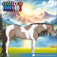 Horse Color:Classic Champagne Tobiano Rabicano