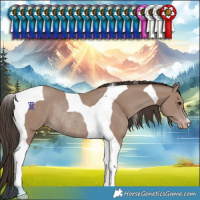 Horse Color:Classic Champagne Tobiano Rabicano