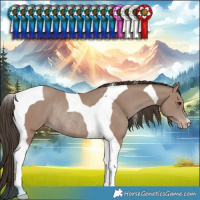 Horse Color:Classic Champagne Tobiano Rabicano