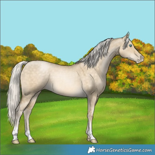 Horse Color:Silver Buckskin Pearl Dun 