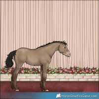 Horse Color:Gray Classic Champagne Dun Rabicano 