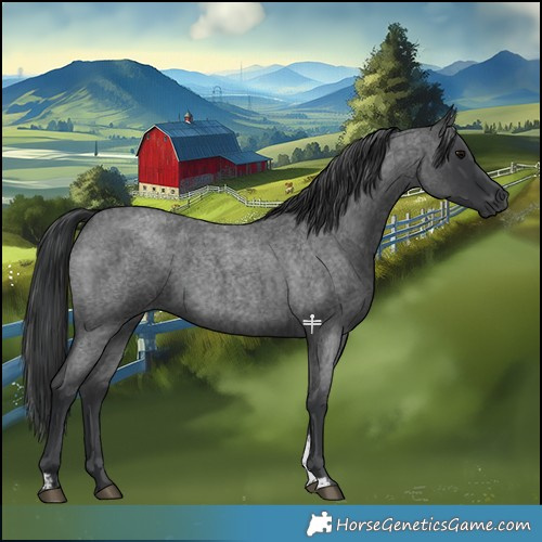 Horse Color:Blue Roan Sabino 