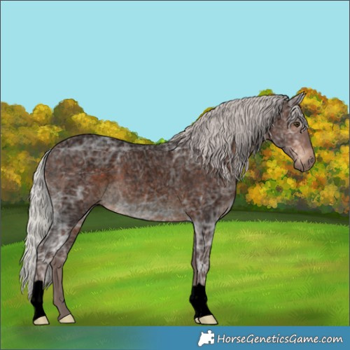 Horse Color:Void Silver Brown Ice Roan 
