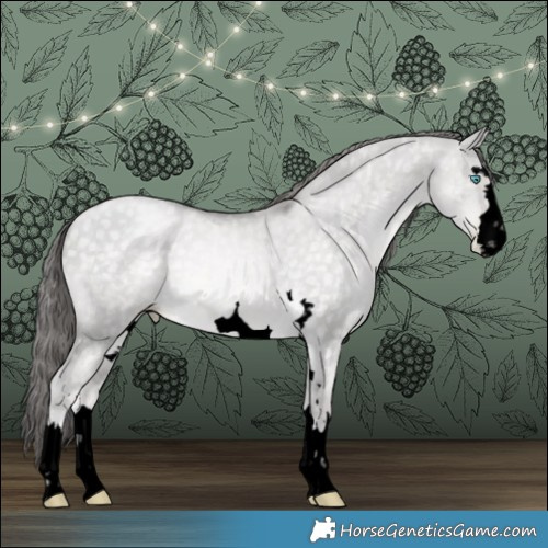 Horse Color:Void Platinum Buckskin Pearl Dun 