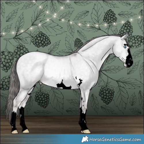 Horse Color:Void Platinum Buckskin Pearl Dun 
