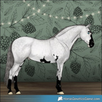 Horse Color:Void Platinum Buckskin Pearl Dun