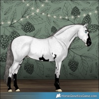 Horse Color:Void Platinum Buckskin Pearl Dun