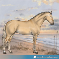 Horse Color:Gray Palomino Dun 