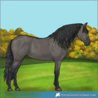 Horse Color:Grullo Rabicano 