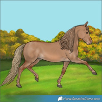 Horse Color:Red Dun 