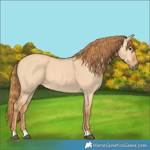 Horse Color:Red Dun 