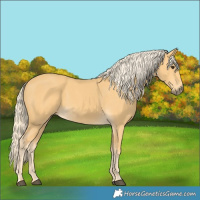 Horse Color:Palomino 