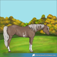Horse Color:Silver Black Sabino Tobiano