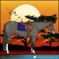 Horse Color:Smoky Grullo Sabino