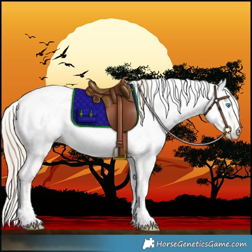 Horse Color:Smoky Creme Dun Sabino Rabicano 