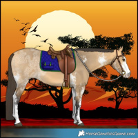 Horse Color:Buckskin Ice Dun Sabino