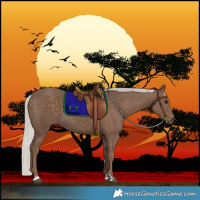 Horse Color:Silver Black Rabicano