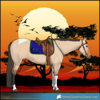 Horse Color:Bay Dun Tobiano