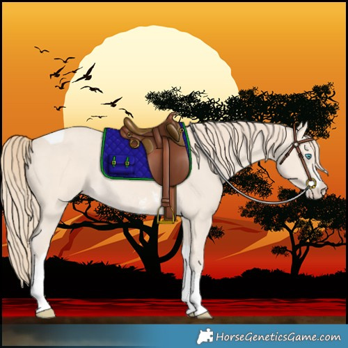 Horse Color:Perlino Sabino Tobiano 
