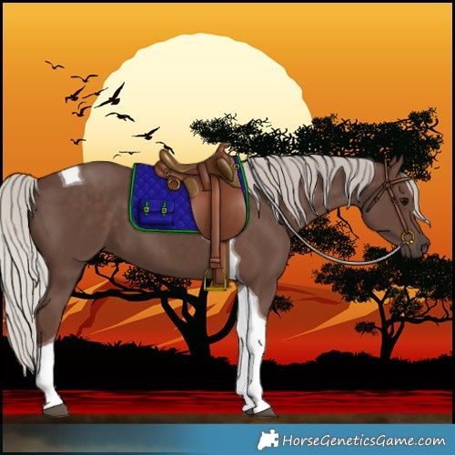 Horse Color:Silver Black Tobiano 
