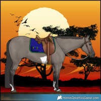 Horse Color:Smoky Grullo Tobiano 